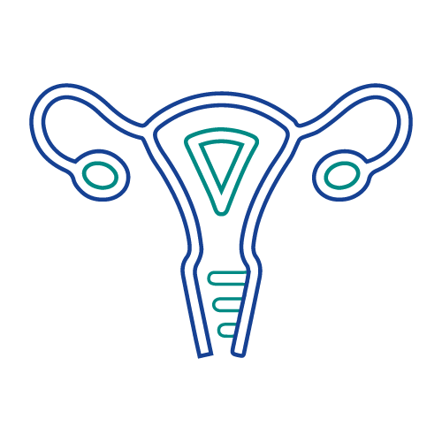 Gynecologist & Obstetrician