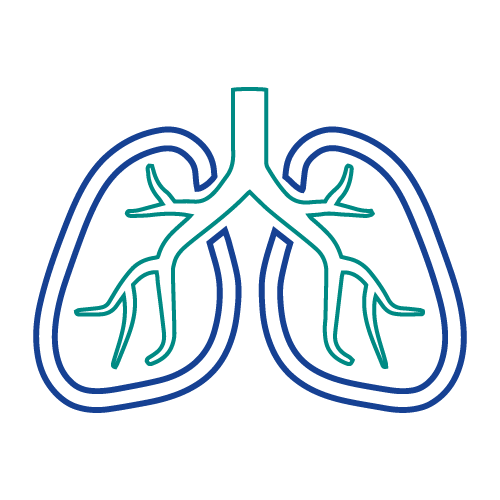 Respiratory & chest specialist