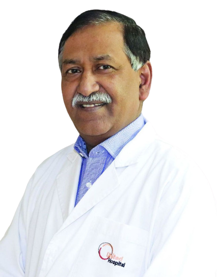 Prof. Dr. N. A. M. Momenuzzaman